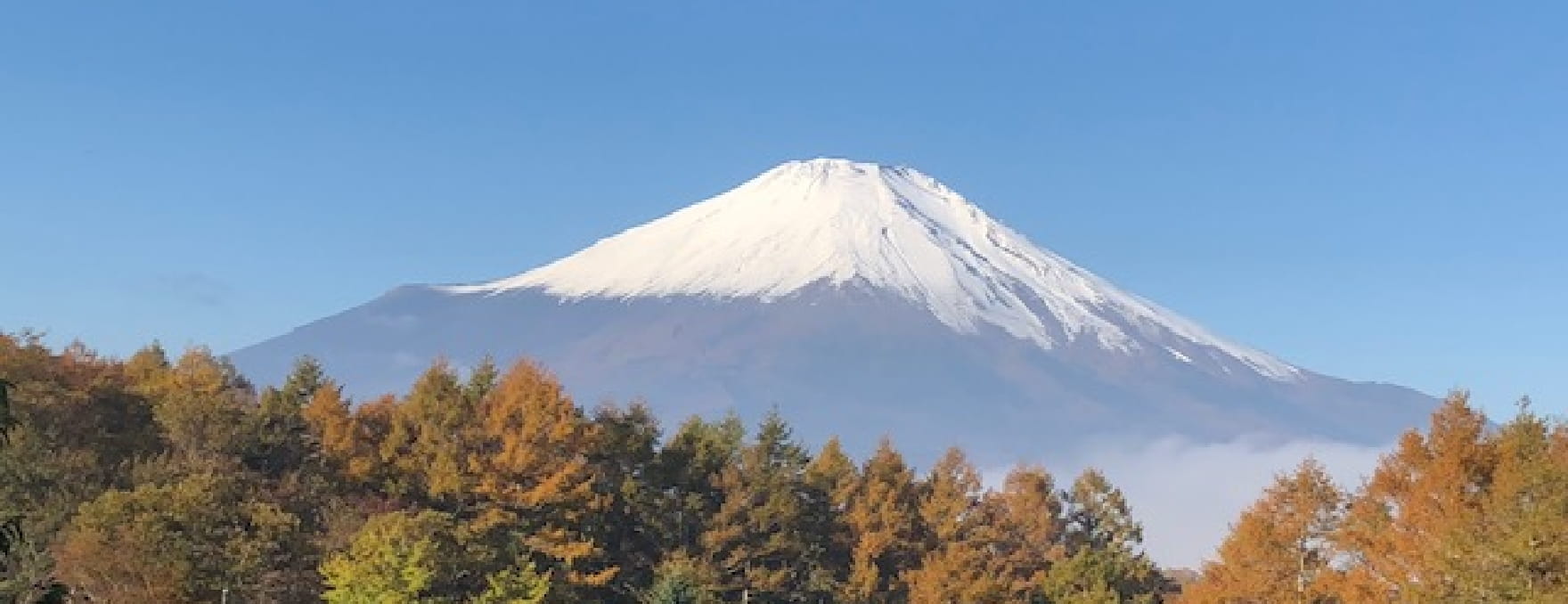 富士山が映っています